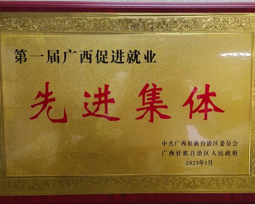 第一屆廣西促進就業先進集體